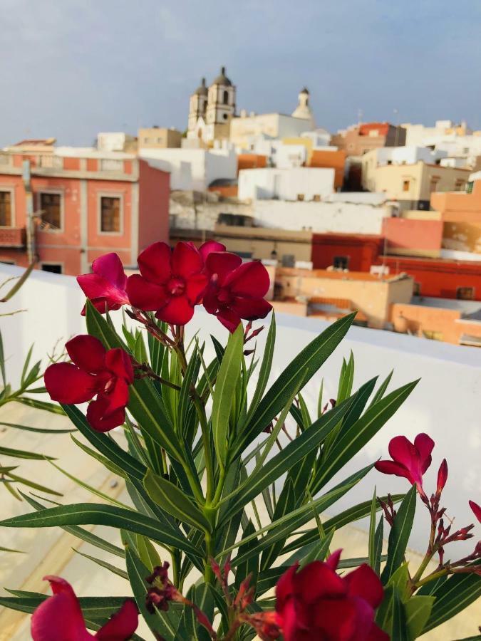 Bed and breakfast Nestor Ingenio